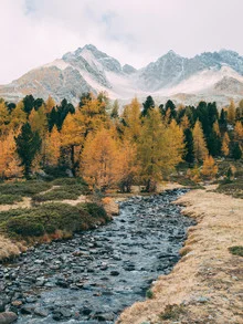 Bunte Herbstlandschaft mit Bäumen und einem ruhigen Bach in der Schweiz