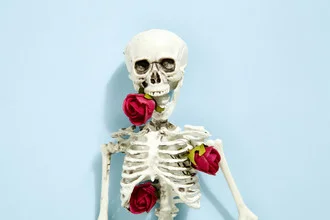 Photo art by Loulou von Glup: skeleton of a red rose in a minimalist composition.