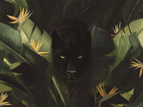 Illustration of a panther in a warm jungle with tropical flowers and leaves.