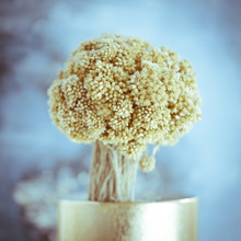 Gabriele Spörl, Golden Flower