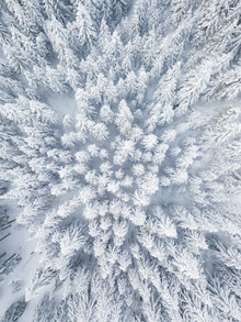 Gergo Kazsimer, Army of Winter