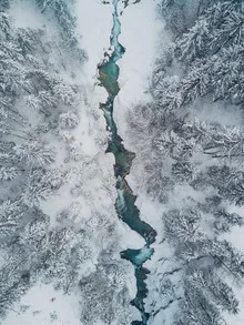 Fotokunst von Gergo Kazsimer: gefrorenes Wasser zwischen Nadelbäumen im Winter