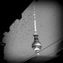 Flock of birds over Berlin, urban life at Alexanderplatz, calm atmosphere.