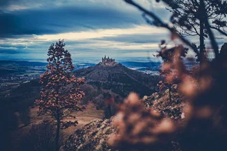 Charming view of Hohenzollern Castle nestled among young oak trees.