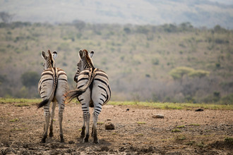 Steffen Rothammel, Friends