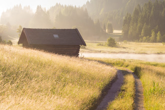 Martin Wasilewski, Golden Morning in the Mountains