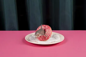 Surreal photo art by Loulou von Glup: a dolphin with a donut in a pool.