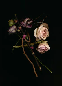 Photo art by Ramona Reimann: Flowers in soft, dark colors create a mysterious atmosphere.