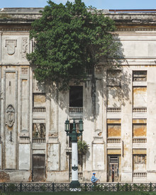 Dimitri Luft, housetree (Cuba, Latin America and Caribbean)