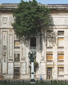 Photo art by Dimitri Luft: bicycle next to a tree on a Cuban street
