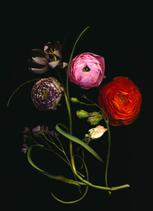 Ramona Reimann, Julia (Germany, Europe)