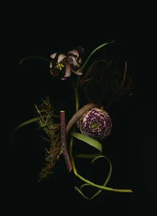 Photo art by Ramona Reimann: delicate flowers with a touch of darkness