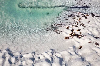 Fotokunst von Victoria Knobloch: ruhiger Strand mit Algen und sanften Wasserwellen in Norwegen