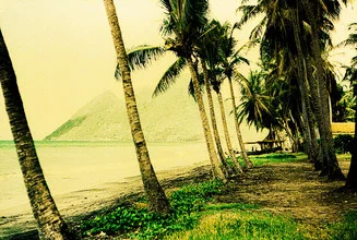 Photo art by Sophie Etchart: street on Reunion Island with palm trees in sunlight.