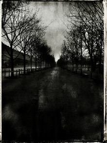 Sophie Etchart, Tuileries