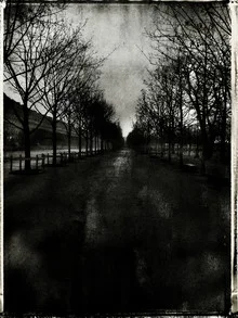 Black and white photo art by Sophie Etchart: Tuileries Garden in Paris