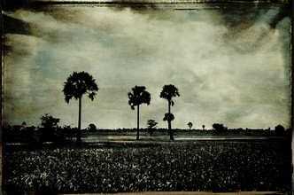 Sophie Etchart, somewhere - Frankreich, Europa)