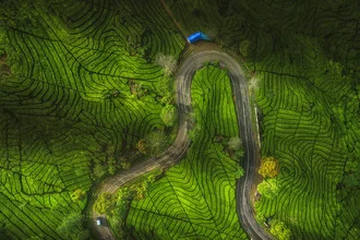 Photo art by Jean Claude Castor: tea plantation in Ciwidey, Indonesia
