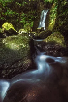 Photo art by Jean Claude Castor: waterfall in the jungle of the Azores