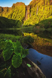 Wasserfall in der Faja Grande auf der Insel Flores, ruhige Naturaufnahme mit sanften Farben.