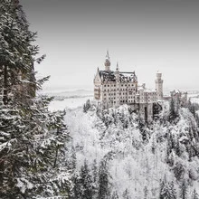 Neuschwanstein Castle in a winter landscape, conveying a calm atmosphere.