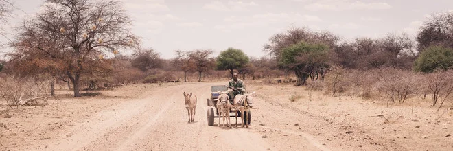 Fotokunst: Eselkarren in der weiten Savanne von Botswana, ruhige und friedliche Szene