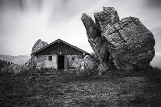 Roswitha Schleicher-Schwarz, cow-house (Germany, Europe)