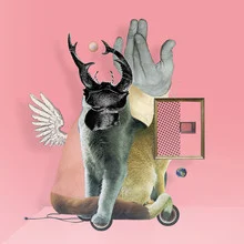 Illustration by Marko Köppe: surreal cats in a whimsical collage