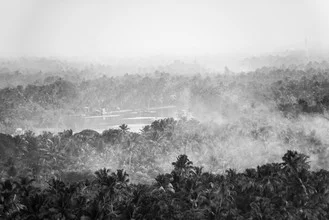 Photo art by Aleksi Lausti: Morning mist over a southern Indian village with palms.