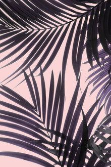 Emanuela Carratoni, Pink Jungle (Italy, Europe)