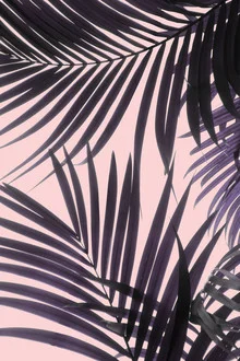 Pink Jungle - fotokunst von Emanuela Carratoni