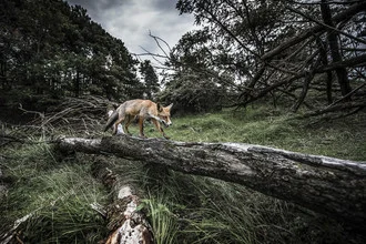 Leaving - Fineart photography by Brian Decrop