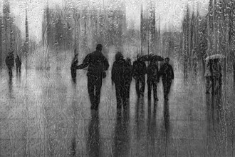 Roswitha Schleicher-Schwarz, after the rain - Germany, Europe)