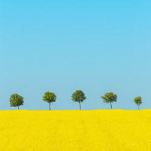Holger Nimtz, Spring