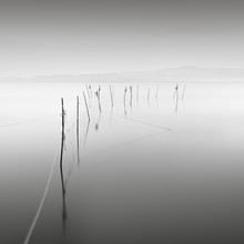 Ronny Behnert, Fish trap - Japan, Asien)