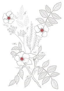 Wall art by Dunia Nalu: hand-drawn roses in a floral arrangement.