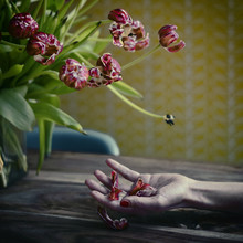 Ambra A, I will love you better....