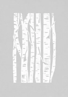 Illustration by Bianca Green: woodcut of birches in gentle grey tones