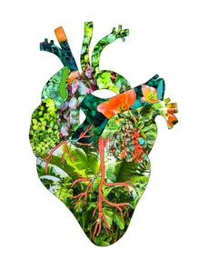 Illustration by Bianca Green: botanical heart with tropical plants