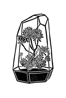 Illustration by Bianca Green: terrarium with succulents in black and white