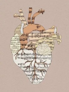 Wall art by Bianca Green: Anatomical heart with musical notes in the background