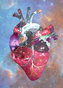 Illustration by Bianca Green: anatomical heart in a starry galaxy space