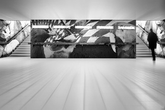 Roswitha Schleicher-Schwarz, animal fine art exhibition - Germany, Europe)