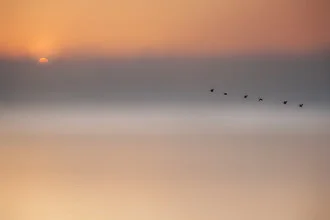 Photo by Roswitha Schleicher-Schwarz: calm sunrise over Lake Wörthsee