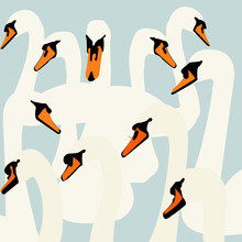 Katherine Blower, Swan Pattern