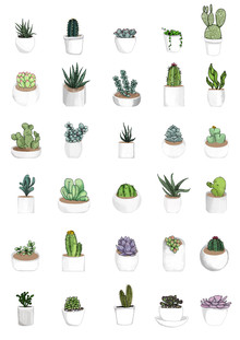 Katherine Blower, Succulents