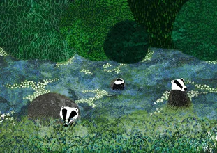 Wall art featuring a badger wandering among bluebells in a serene forest setting.
