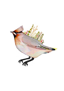 Katherine Blower, Waxwing