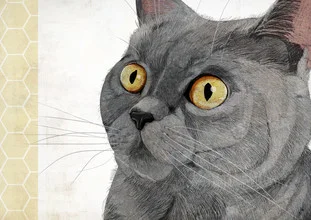 Illustration of a British Shorthair cat in soft colors, conveying a sense of calm