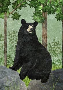 Katherine Blower, black bear
